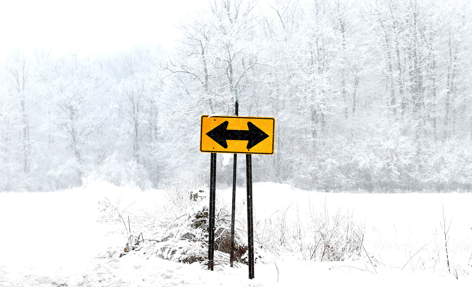 Frosted countryside 6